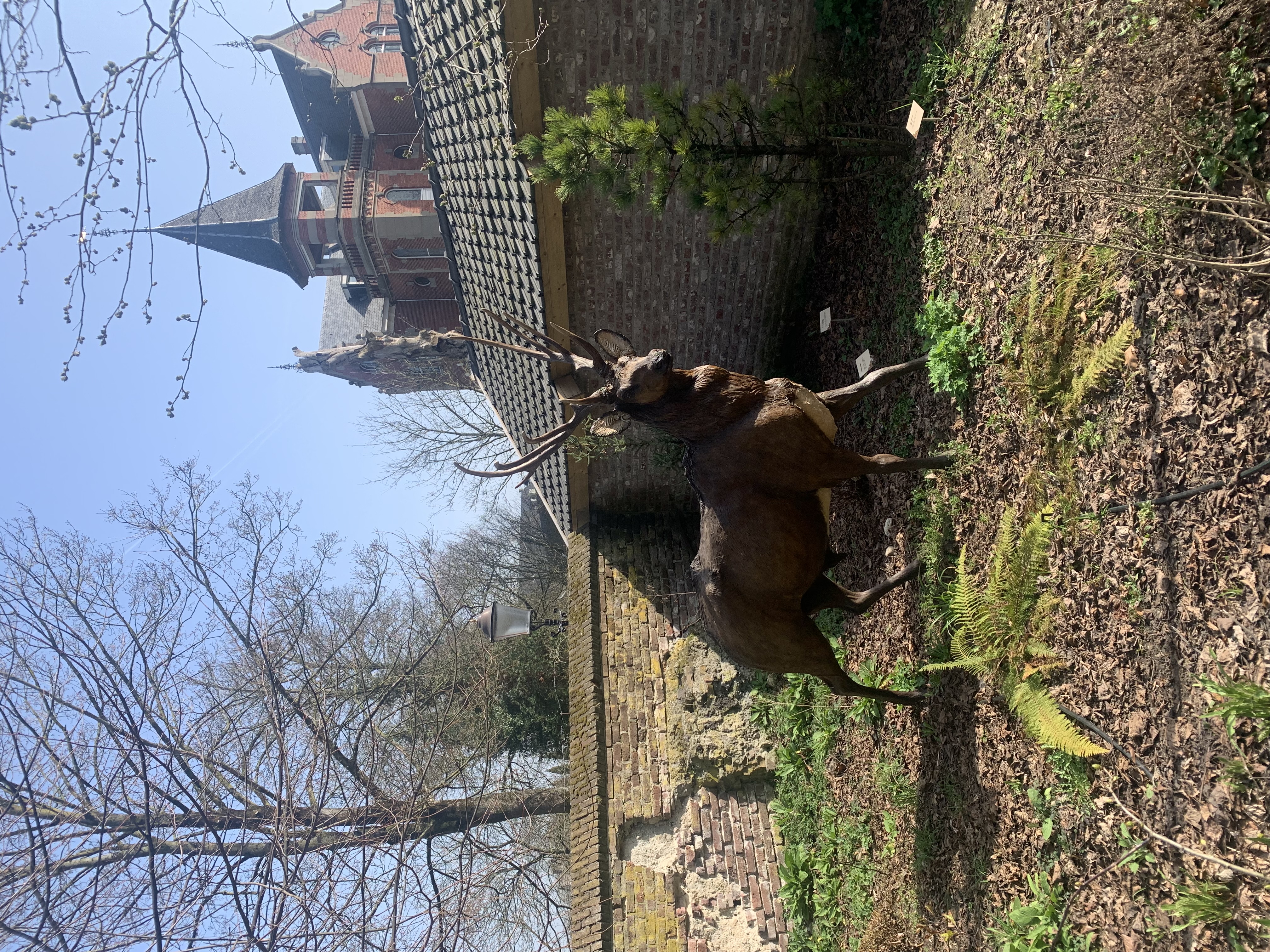 Tegels reuzenhert